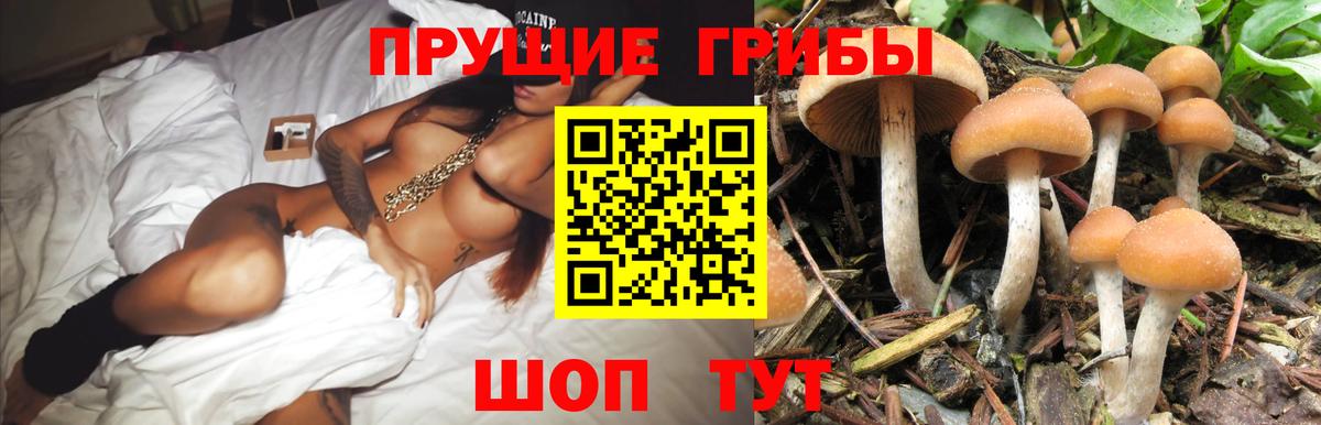 Галлюциногенные грибы прущие грибы Миасс