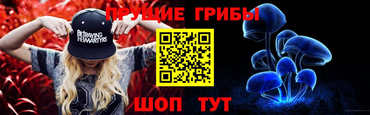 Миасс  Псилоцибиновые грибы Cubensis  Вход с VPN 